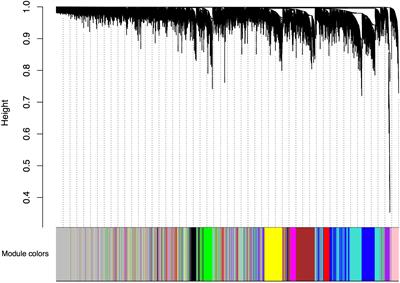 Weighted Gene Correlation Network Analysis (WGCNA) Reveals Novel Transcription Factors Associated With Bisphenol A Dose-Response